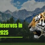 Tiger Reserves in India 2025