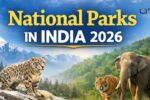 National Parks in India 2026