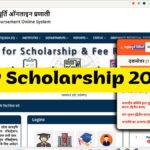 UP Scholarship 2026